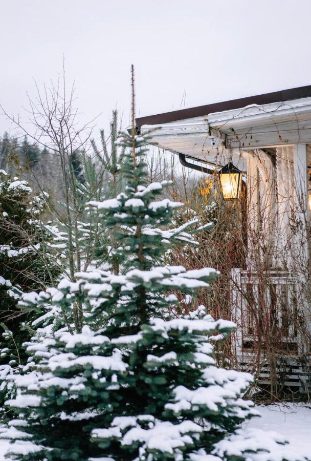 Chalet By Skokovo Park Villa Suponevo  Dış mekan fotoğraf